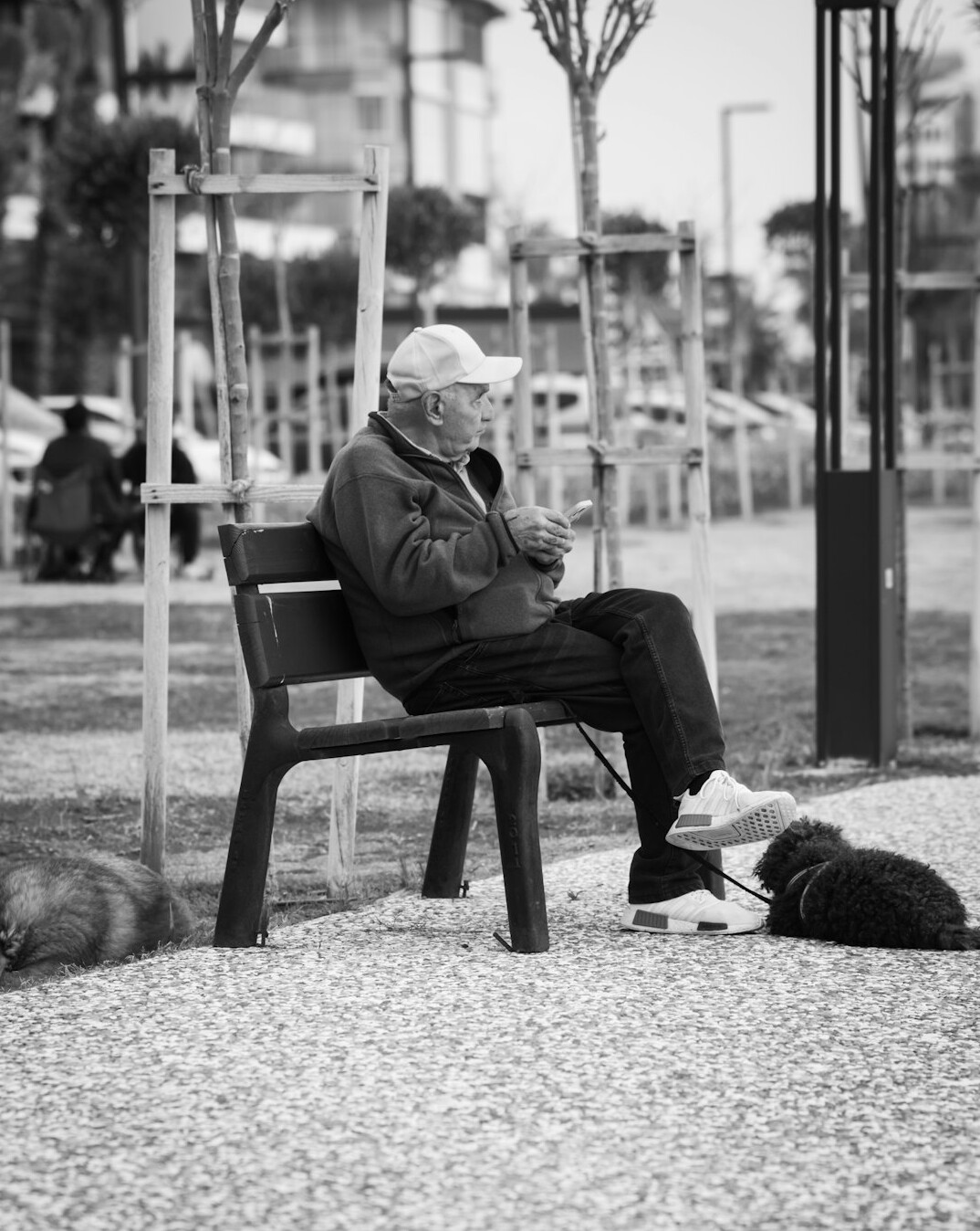 Portrait of an elderly man sitting on a park bench in the city