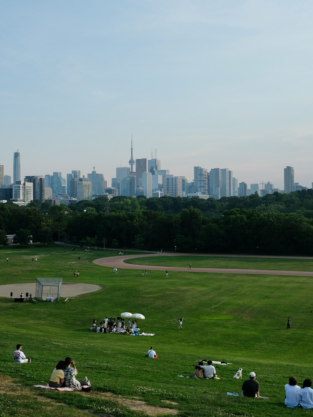 people in park relaxing