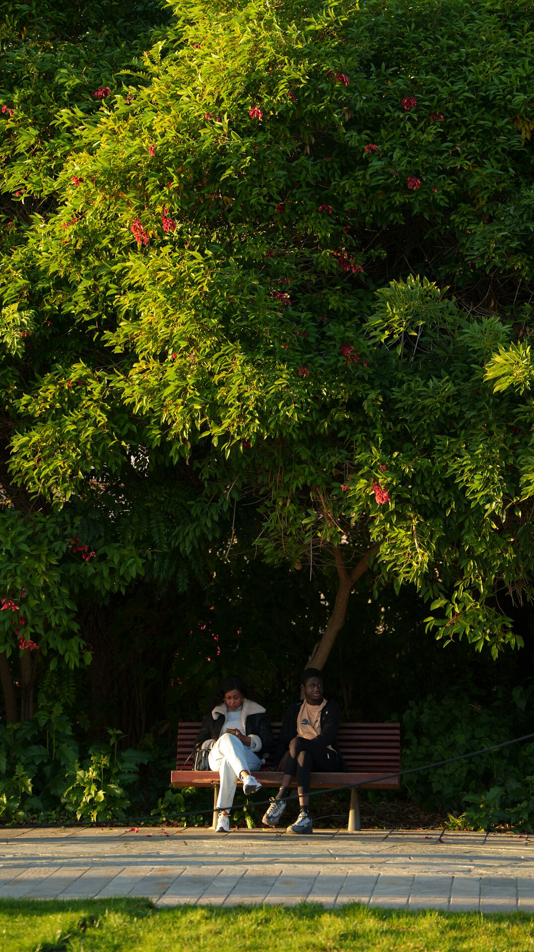 person sitting on bench in park