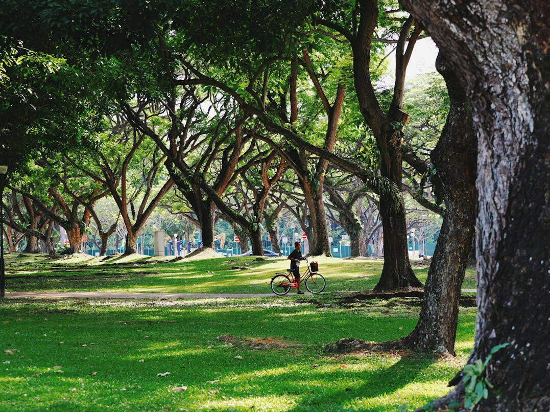 cyclist in urban park